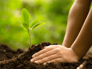 environmental impact of cement production